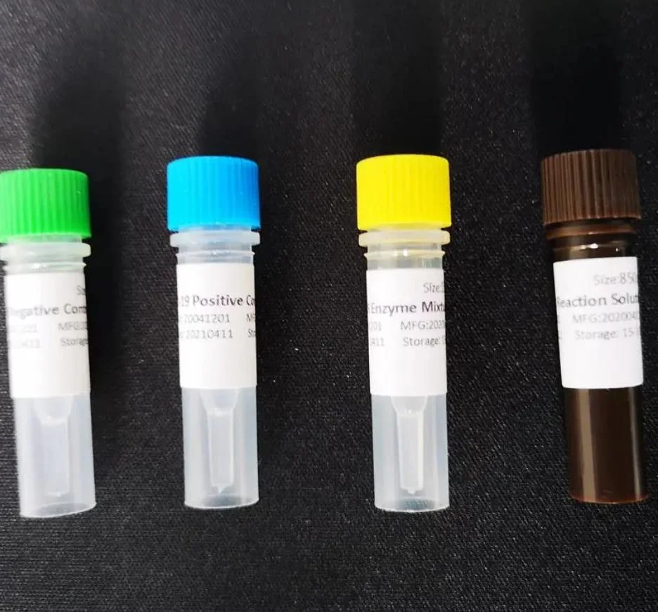 Mv Process Control Nucleic Acid Detection Kit (fluorescence PCR method)